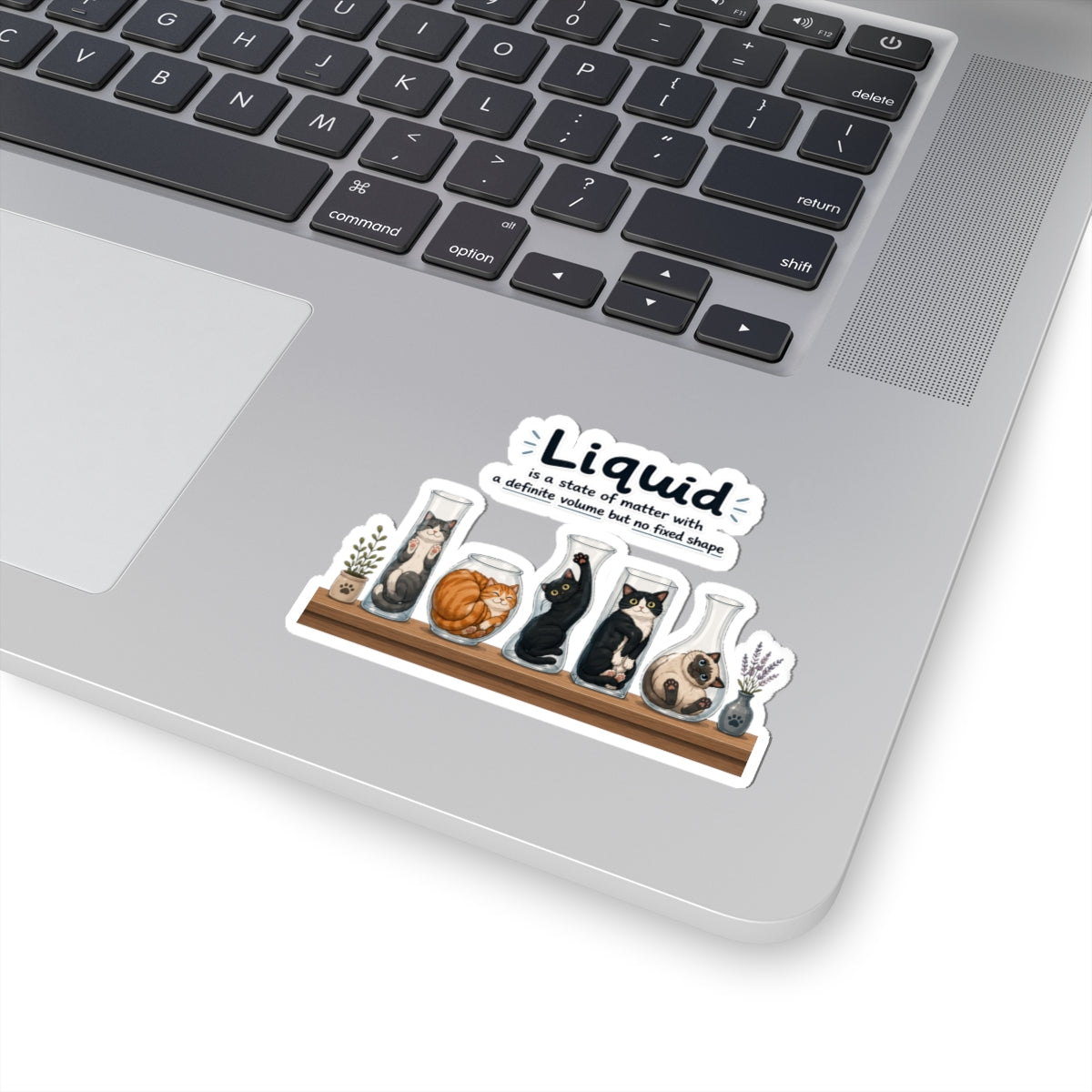 Sticker - Cats are liquid | Cute Cat Jars